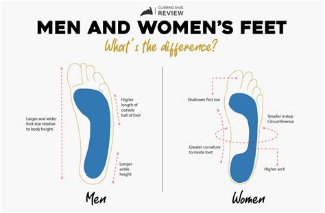 difference between mens and womens shoes|women's feet vs men's.